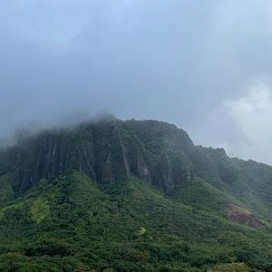 Meet your Posher, Amaris